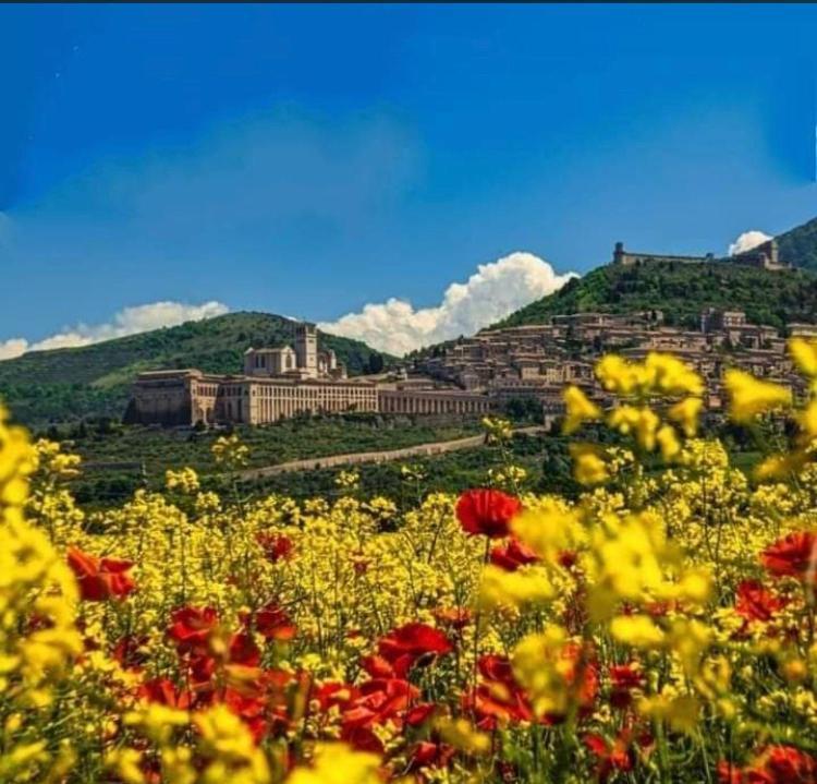 Le Dimore Arcangelo Maria Assisi Exteriör bild