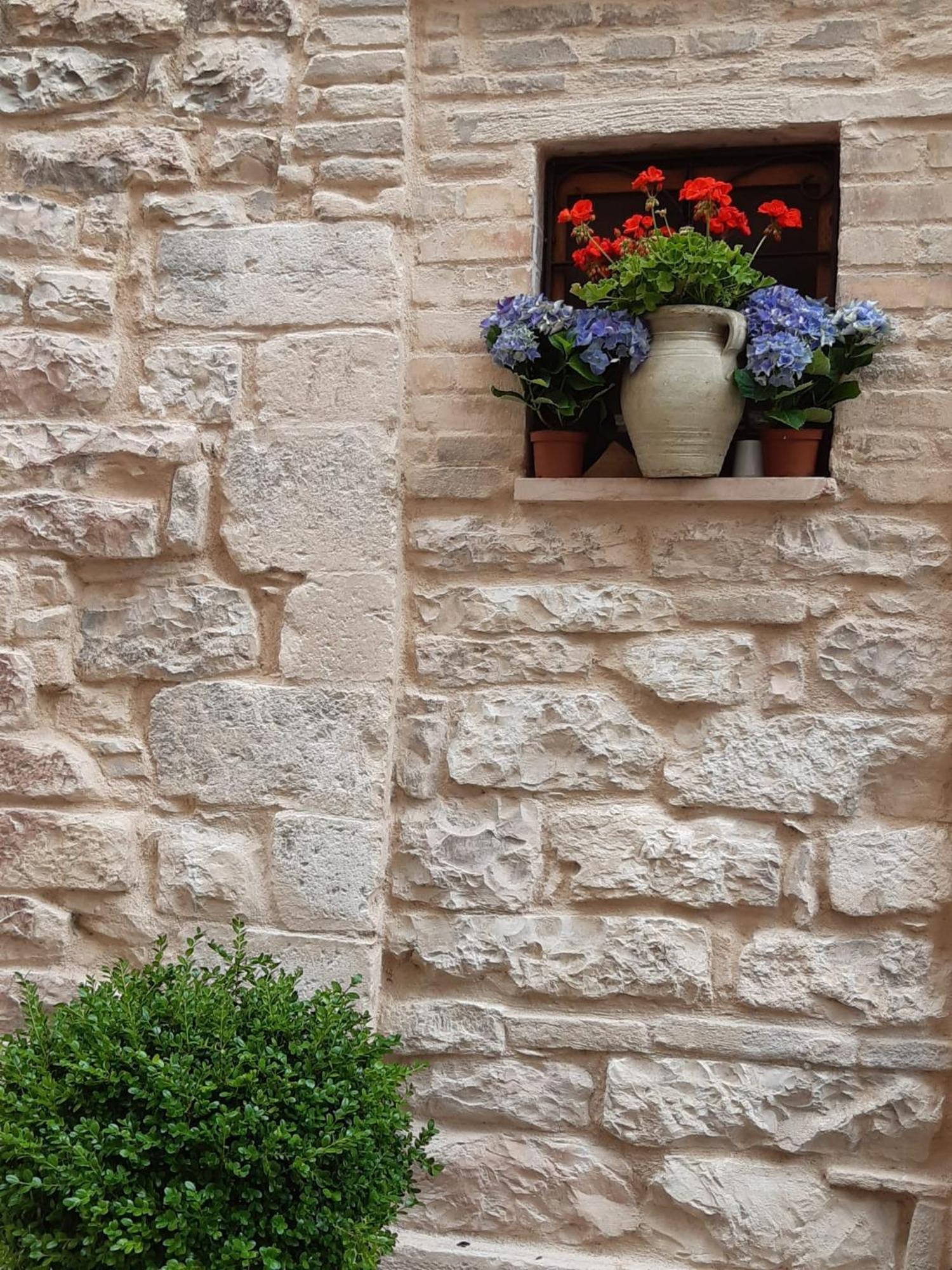 Le Dimore Arcangelo Maria Assisi Exteriör bild